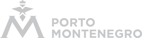 AudioPort logo