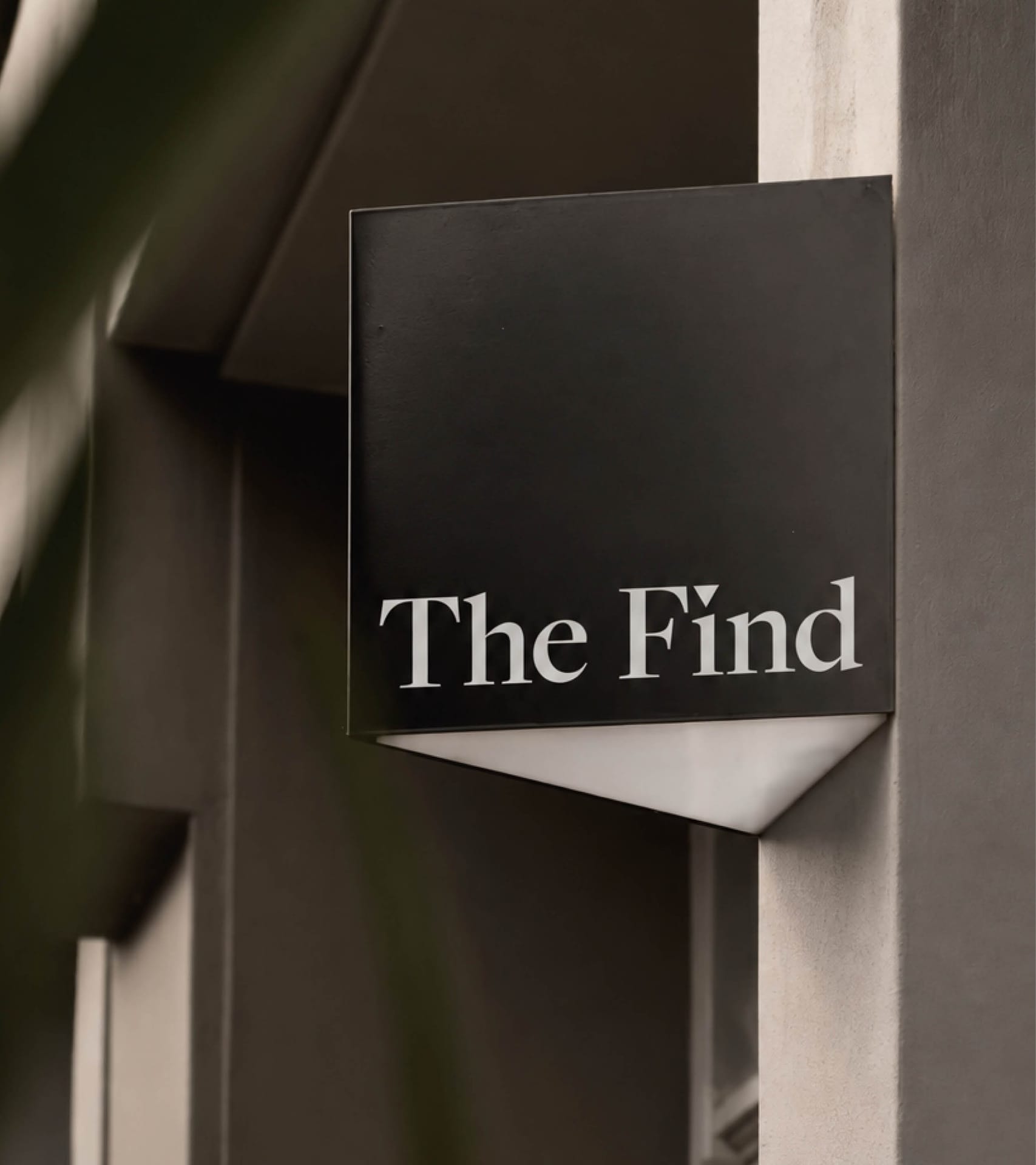 The Find