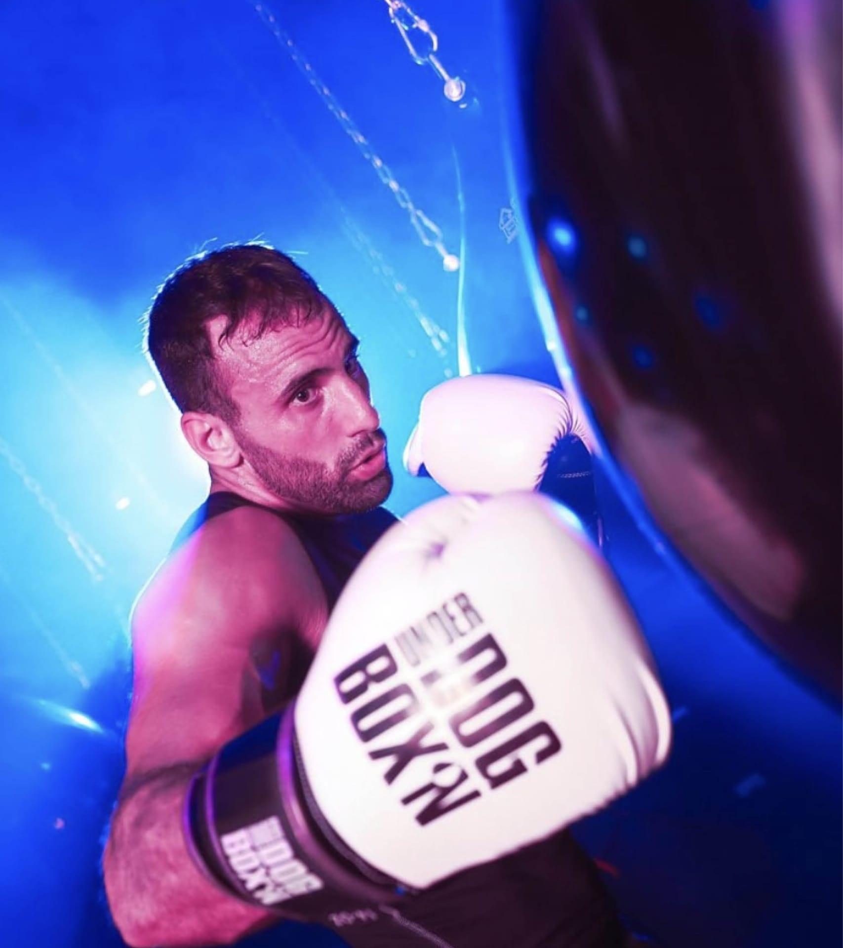 Underdog Boxn