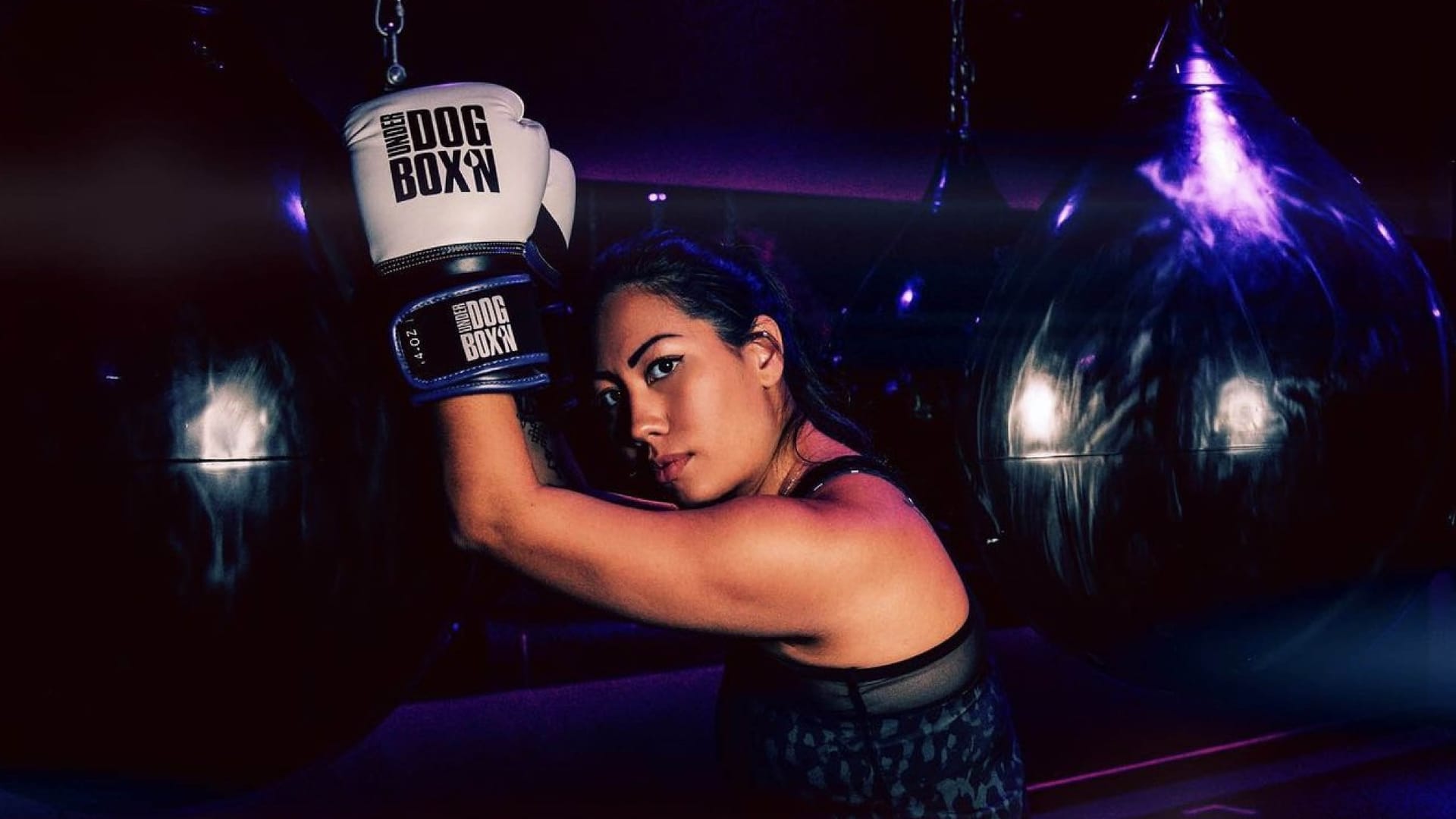 Underdog Boxn