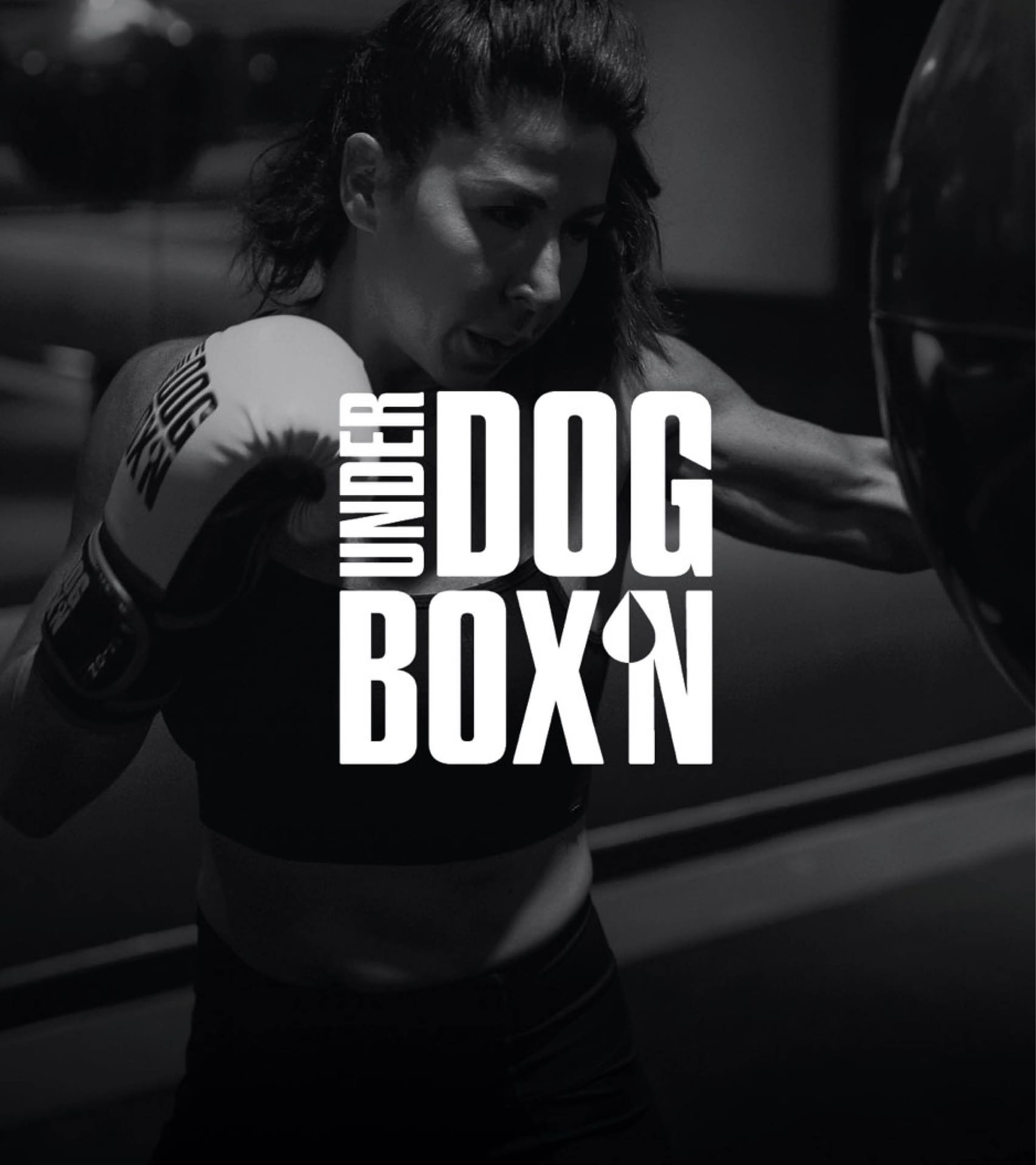 Underdog Boxn