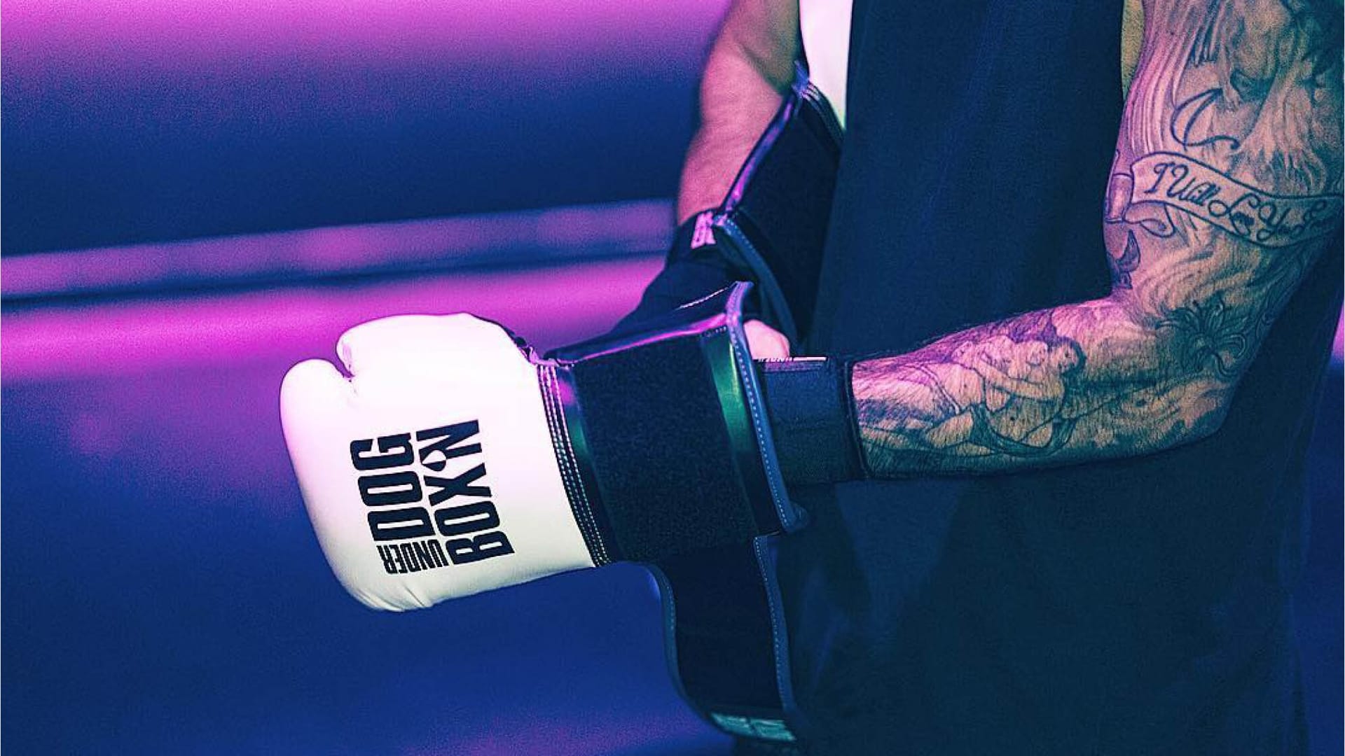 Underdog Boxn