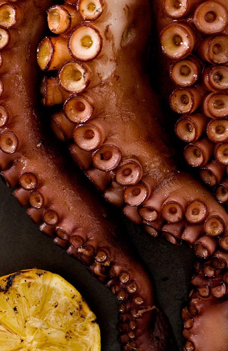 responsive website design and development in dubai uae | responsive design | mobile homepage