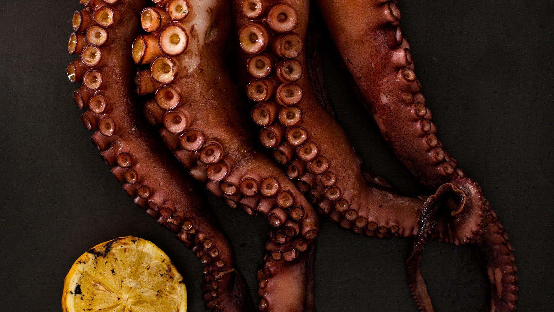 website design and development in dubai uae | landing page