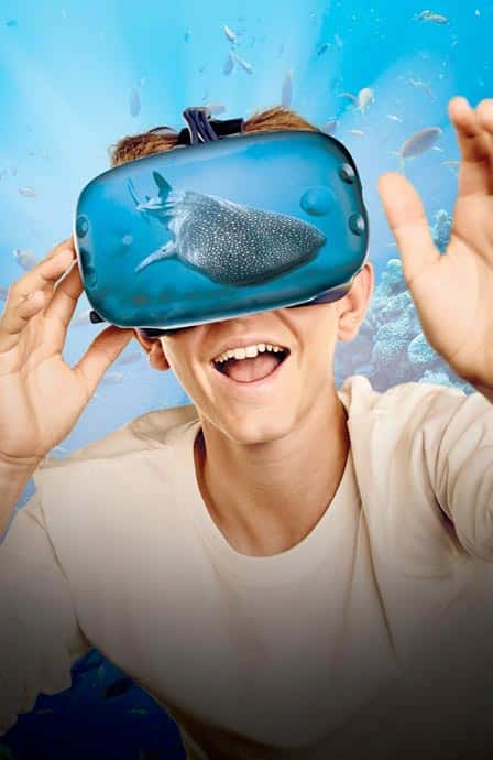 identity Design in dubai uae| brand application in dubai